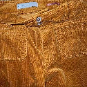 Pilcro Corduroy Pants